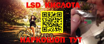 шишки Шелехов