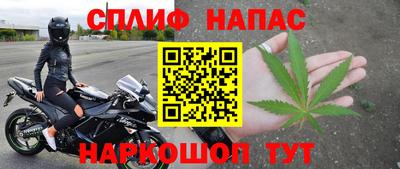 шишки Шелехов